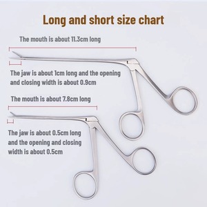 Nuevo Set de Instrumentos Veterinarios: Pinzas Manuales de Clase I para Limpieza de Oídos y Nariz, Endoscopio, Extractor de Cera, Pinzas Cortas - Product Image 4