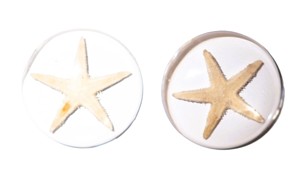 Cabujón de plástico con espécimen real de estrella de mar, redondo, 35x35 mm, base plana transparente para manualidades y fabricación de joyas - Product Image 2