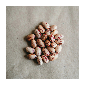 Frijoles de riñón ligeros con granos pequeños de calidad de exportación disponibles para comercio al por mayor y socios comerciales en todo el mundo - Product Image 5