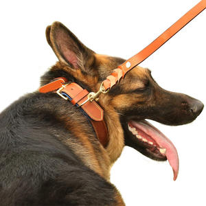 Collar de Cuero Ligero de Lujo para Perro, Diseño Personalizado de Alta Calidad con Logotipo y Color Único, Superventas - Product Image 4