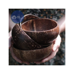 [VENTE CHAUDE] |   Bol en coquille de noix de coco écologique, finition lisse, vente en gros, artisanal, vaisselle écologique pour la cuisine, fournitures de table, Vietnam - Product Image 1