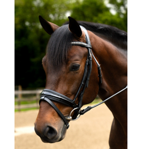 Brida de Cuero para Caballo Hecha a Mano de Primera Calidad al por Mayor con Riendas, Duradera, Cómoda y Transpirable, Equipo Ecuestre para Entrenamiento de Equitación - Product Image 4