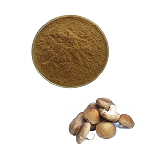 Polvo de Champiñones Shiitake Orgánico, Lentinula Edodes Natural Pura, Polvo Fino de Champiñones Secos para Apoyo Inmunológico y Suplemento para la Salud - Product Image 4