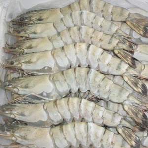 Deliciosos camarones tigre congelados, mariscos premium con textura firme, sabor natural y calidad confiable para cocinar. - Product Image 2