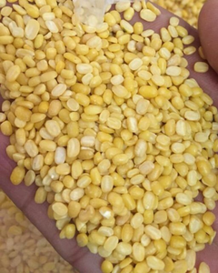 Haricots mungo nettoyés – Haute pureté, qualité standard d'exportation - Product Image 6