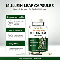 Capsules de feuilles de molène naturelles pures, marque privée OEM, pour le soutien pulmonaire, complément alimentaire à base de plantes, adulte