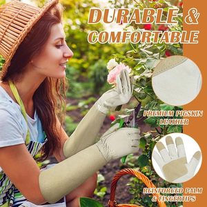 Gants de jardinage anti-épines pour hommes et femmes, gants de taille-roses - Product Image 1