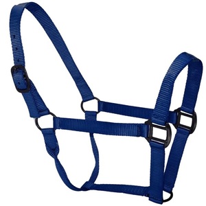 Produits équestres polyvalents et confortables en sangle de nylon double épaisseur, y compris laisses pour chevaux et selles de course, à prix abordable - Product Image 6