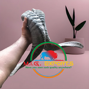 Cuerno de oveja/cuerno de carnero - Product Image 4