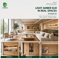 Panneau MDF mélaminé Jinbase Light Amber Elm 18 mm E0 1220x2440 mm, mélaminé pour armoire de cuisine, placard