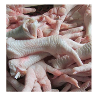 Pattes de poulet congelées / Ailes de poulet, quartiers de cuisses de poulet et pieds de poulet de chair congelés