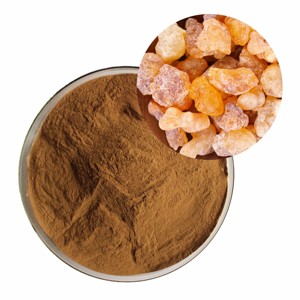 Extrait de Guggul 100% Pur, Meilleure Vente, 10% d'Extrait de Résine de Commiphora Mukul de Haute Qualité en Poudre pour le Soutien au Bien-être - Product Image 4