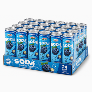 Bebida Gaseosa de Ciruela, Menta y Jengibre de 320ml, 24 Latas, Fabricante OEM en Vietnam, Suministro al por Mayor para Exportación ODM - Product Image 3