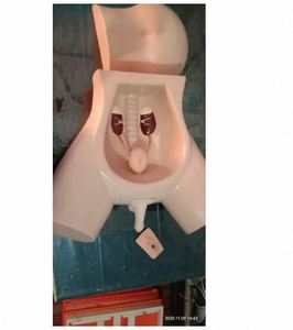 Medical Student Catheter Learning Simulator Designed for medical school labs Female Catheterization Demonstration <b>Trainer</b> - Product Image 2