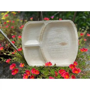 Platos de Hoja de Palma de Areca Ecológicos, Vajilla Ecológica - Macy - Product Image 3