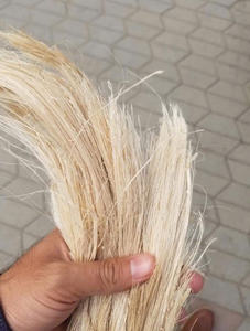 Fibra de Plátano en Oferta para Materiales de Artesanía Sostenible - Product Image 3