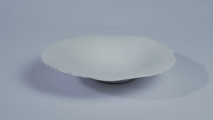 Assiette en céramique blanche abstraite festonnée 20 cm, finition craquelée, design Wabi-Sabi, non toxique, compatible lave-vaisselle, écologique, vente en gros - Product Image 5