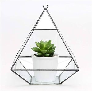 Terrarium de table en verre transparent géométrique en forme de pyramide avec couvercle pour plantes succulentes, plantes aériennes, mousse et fougères, noir - Product Image 5