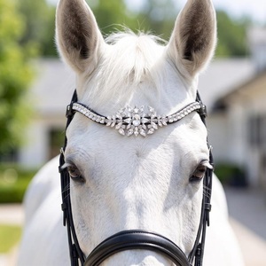 Bandeau de luxe pour cheval avec cristaux transparents, strass et couronne de perles pour concours équestres, accessoires pour chevaux - Product Image 6