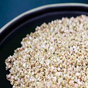 Graines de sarrasin torréfiées brunes les plus vendues – Meilleur prix pour graines de sarrasin séchées naturelles en vrac, emballage sous vide, France, 25 kg, 24 mois - Product Image 3