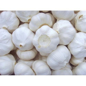 Fournisseur d'ail frais blanc pur, blanc normal, blanc violet - Product Image 6