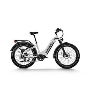 จักรยานไฟฟ้า HEY-D5 ST Premium All-Terrain รุ่นยางใหญ่ 55Ah มอเตอร์ดุมล้อหลัง 350W ระยะทาง 60 กม. แบตเตอรี่ในตัว ระบบ Torque/Cadence - Product Image 3
