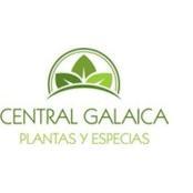 Central Galaica de Plantas logo