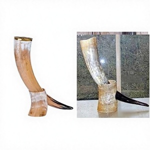 Best Selling Eco-Friendly Viking Drinking Horn Organic Material Carved Technique High Quality Natural Shape Wedding Gift Beer - Product Image 6