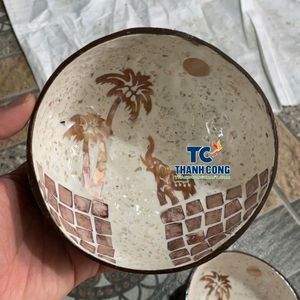 Meilleur Prix Bols en Coque de Noix de Coco Écologiques Vente en Gros Artisanat Unique Fabriqué au Vietnam (Palmier Sauvage) - Product Image 1