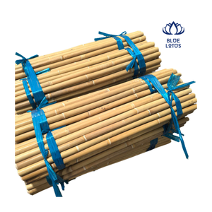 Varas de Ratán Sostenibles para la Producción de Muebles Hechos a Mano - Product Image 1