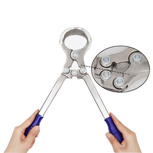 Castrateur Burdizzo sans saignement pour animaux de grande taille (moutons, chèvres, bovins, porcs) – Kit d'outils réutilisables et durables DENTRIC - Product Image 1