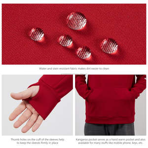 Sweat-shirt à capuche tendance automne, nouveau, balaclava personnalisé, balaclava à fermeture éclair, double chapeau, vêtement d'extérieur uni, homme femme, sweat-shirt d'hiver basique - Product Image 5