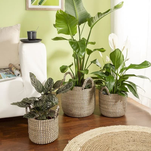 Macetas de jardín de hierba marina natural tejidas a mano, macetas de interior con asas, precio al por mayor de fábrica en Vietnam - Product Image 4