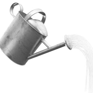 Arrosoir en métal de grande capacité pour arroser les plantes de jardin, les fleurs, les légumes, bec long, poignée robuste et durable - Product Image 4