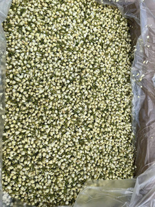 ชาดอกมะลิเวียดนามคัดพิเศษ ชาดอกไม้แห้งแบบเม็ด สำหรับชงดื่มร้อน ดอกมะลิแห้งแบบเม็ด - Product Image 5