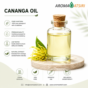 Aceite de Cananga Natural Premium de Indonesia - Extracto Floral Balsámico 100% Puro para Perfumería - Product Image 3