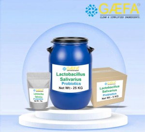 Poudre de probiotiques alimentaires Lactobacillus Salivarius de qualité supérieure - Product Image 4