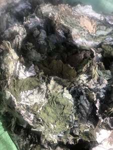 Polvo de Hoja de Ramie Verde Oscuro Premium para Cocinar Pasteles Tradicionales 7.05oz / 300g Fábrica de Vietnam 18 ANGLE - Product Image 4