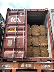 Al mejor precio al por mayor, felpudos de fibra de coco ecológicos disponibles-Loto Azul de Vietnam - Product Image 4