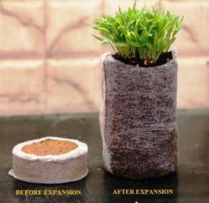 Discos/Plugues/Perlas de Fibra de Coco Biodegradables para Germinación de Semillas, Calidad Premium, Exportador: GEEWIN - Product Image 3