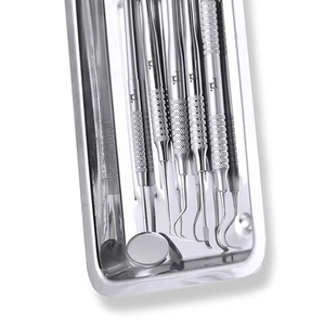 Plateau à instruments carré manuel en acier inoxydable GUJJAR SURGICAL 22x11x2cm, qualité 304, pour laboratoire, usage dentaire et chirurgical, certifié CE - Product Image 4