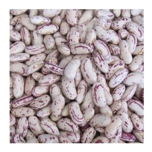 Frijoles Pinto Puros Secos de Primera Calidad / Frijoles Ligeros con Motas a la Venta al Precio Mayorista Más Bajo - Product Image 1