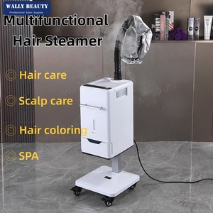 Vaporizador Profesional para el Cabello, Máquina de Vapor Nano, Nuevo Diseño, Máquina de Tratamiento para el Cuidado del Cuero Cabelludo para Uso <span class=keywords><strong>en</strong></span> Salones de Belleza, Spa para Cabello y Rostro - Product Image 2