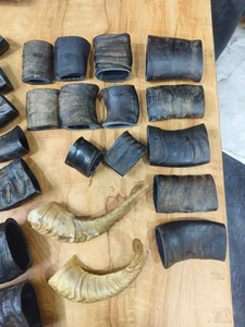 Juguete Masticable para Perros de Cuerno de Búfalo 100% Natural y Ecológico, Seguro y Duradero para Uso Diario en Varios Tamaños - Product Image 4