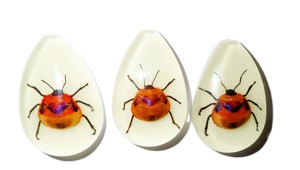 Cabujón de plástico con espécimen real de insecto floral, corte de pera, parte superior de 46x30 mm, base plana brillante para manualidades y fabricación de joyas - Product Image 3