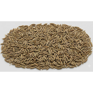เมล็ดยี่หร่าธรรมชาติตลาดเอเชียที่ได้รับการรับรองจาก Fssai แบบตากแดด - Product Image 1