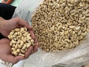 เม็ดมะม่วงหิมพานต์ดิบขายส่งจากฟัลโกเวียดนาม ออร์แกนิคเวียดนาม หลายชนิดสำหรับอาหาร อบและตากแห้ง - Product Image 5