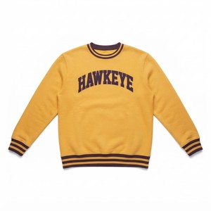 HAWK EYE SPORTS Sweat à capuche décontracté pour homme, nouvelle mode, polaire 350g, imperméable, coupe droite, col montant, imprimé - Product Image 3