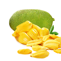 Fruta de Jackfruit Deshidratada por Congelación, Orgánica, Pura y de Alta Calidad, en Chips y Polvo, Alimento Saludable con 4 Meses de Duración, Hecho en India