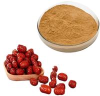 OEM ODM Pure Rode Dadelpoeder Premium Jujube Superfood Poeder voor Smoothies, Bakken, Thee & Kruidenwelzijn Ondersteuning uit India